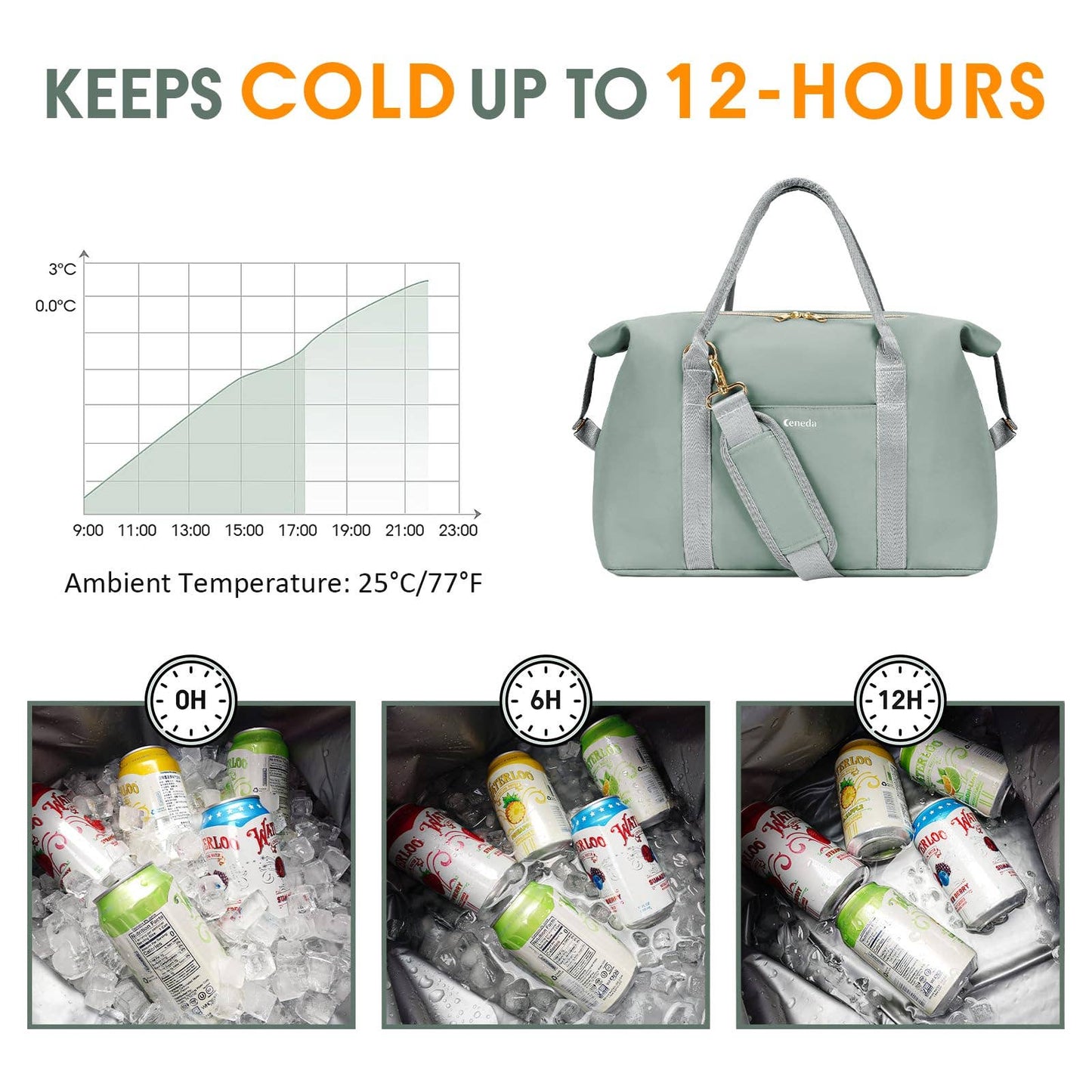 30 Can Insulated Soft Leakproof Cooler Tote Camping Bag