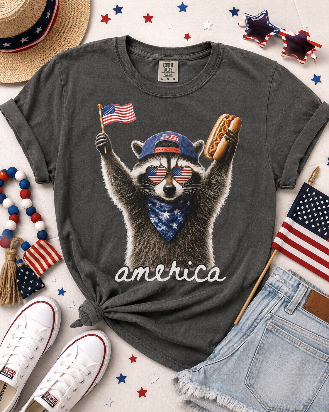 Raccoon 4th of July