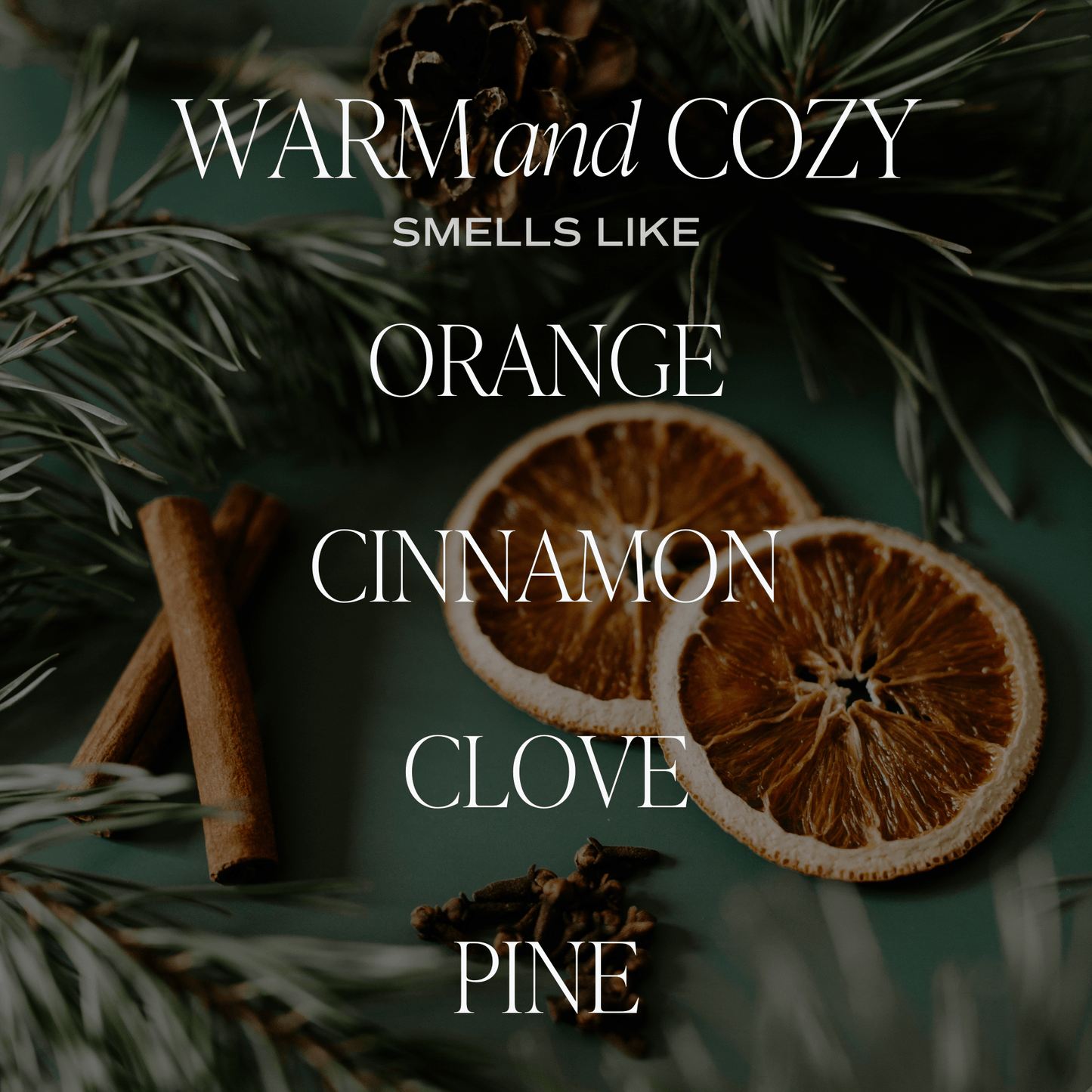 *NEW* Warm and Cozy Reed Diffuser - Christmas Decor & Gifts