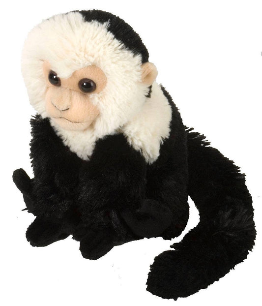 CK-Mini Capuchin Stuffed Animal 8"